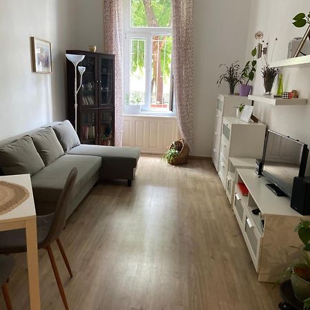 Simon'S Apartment City Centre Budapest Eksteriør bilde